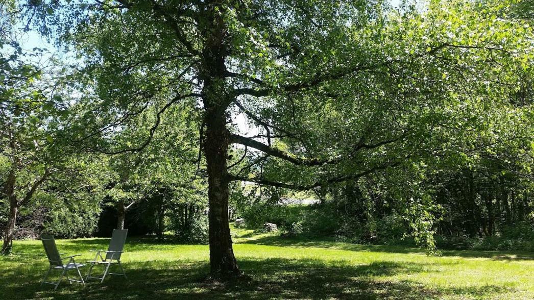Le Cedre Enchante La Guiche Exterior photo