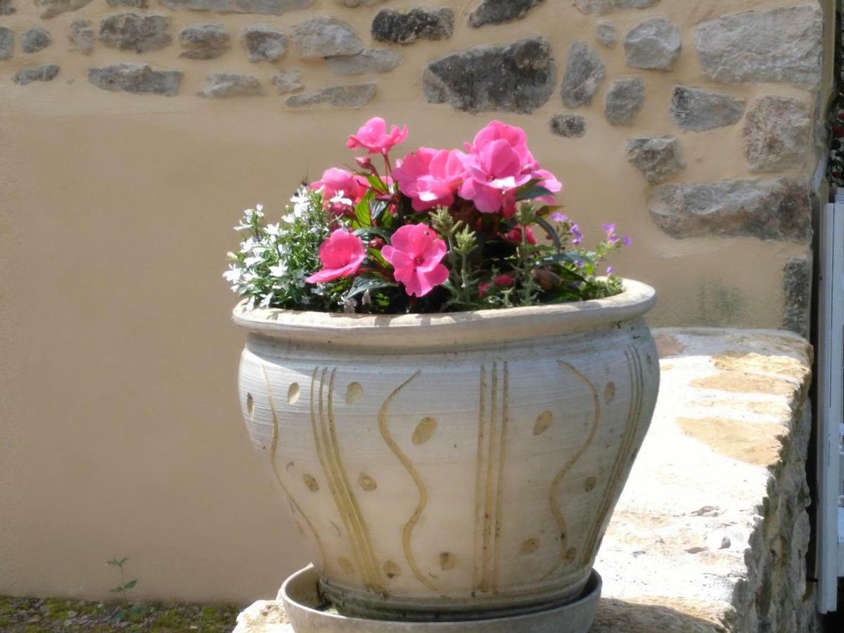 Le Cedre Enchante La Guiche Exterior photo